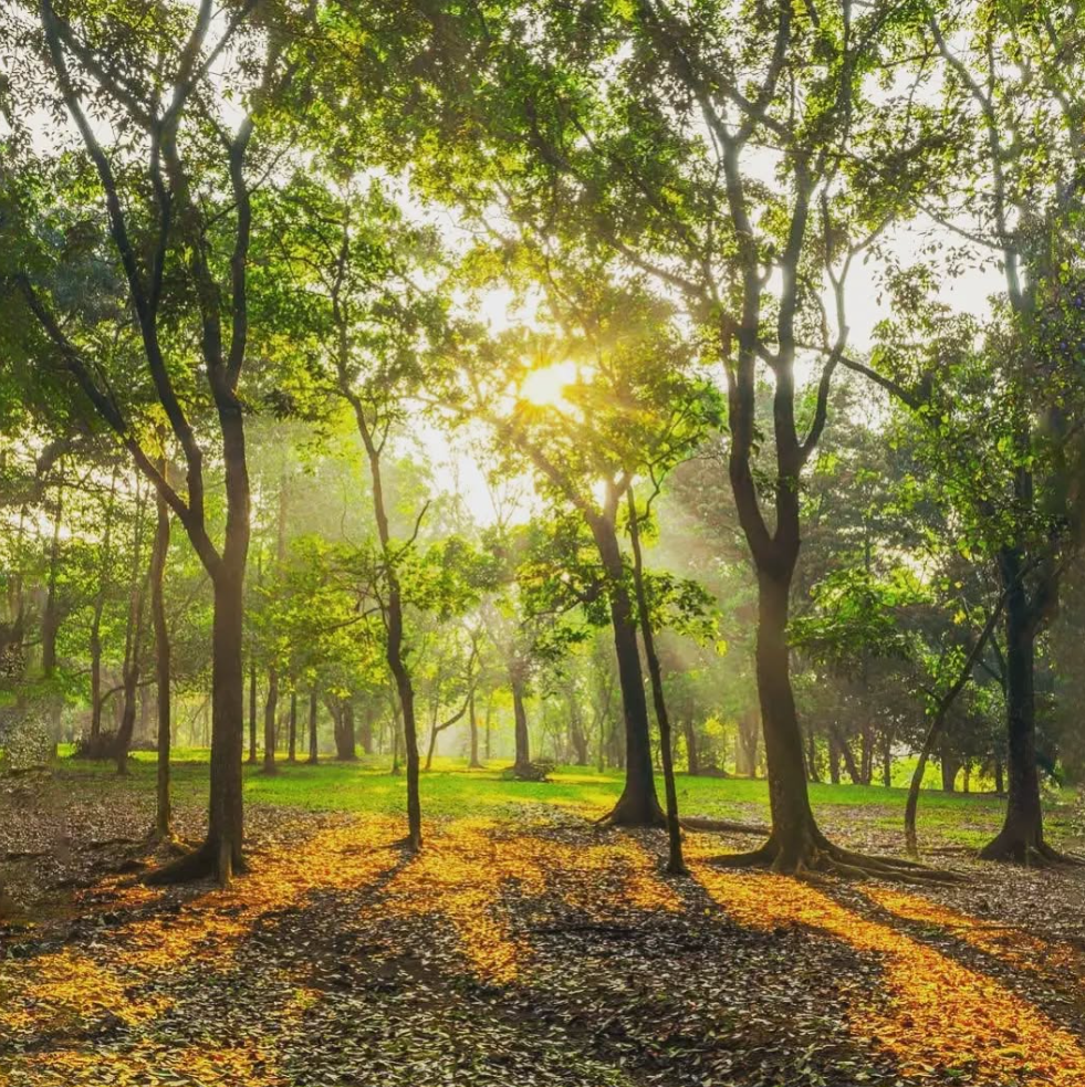 Bumi Perkemahan dan Graha Wisata Pramuka (Buperta), Cibubur adalah kawasan perkemahan di Jakarta Timur. Wilayah seluas 198 hektare ini menawarkan berbagai fasilitas untuk kegiatan perkemahan yang dilengkapi dengan Pendopo dan gazebo, penginapan yang memadahi, toilet, kamar mandi, tempat cuci, serta area untuk api unggun.
Tempat ini juga dilengkapi sarana olahraga seperti area untuk lari dan sepeda, lapangan sepak bola, kolam renang. Selain itu, area terbuka yang luas dengan zona-zona khusus ini juga menyediakan perlengkapan kemah yang dapat disewa, mulai dari tenda berbagai ukuran, matras, peralatan masak, hingga perlengkapan lain seperti meja lapangan, sound system, genset, kayu bakar dna beberapa fasilitas pendukung lainnya.
Fasilitas pendukung: Masjid, pura, gereja, dan vihara yang berlokasi dalam satu area, termasuk danau Situbaru yang bisa menjadi spot foto.
